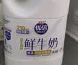 光明 优倍 高品鲜牛奶 1200ml 桶装 巴氏杀菌鲜牛奶 家庭装 实拍图