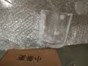 乐美雅家用泡茶玻璃杯透明观山带把茶杯耐热钢化玻璃水杯果汁杯扎啤杯 【新款】维希500ml/耐热150℃ 实拍图