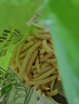 雪川食品（Snow Valley）缤纷薯脆2斤/袋笑脸薯条薯角红薯条组合半成品空气炸锅食材预制菜 实拍图