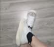 NEW BALANCE男鞋户外秋季Rebel v4专业速度运动轻便训练跑步鞋MFCXLJ4 43 实拍图