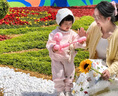 G.duck小黄鸭女宝宝秋装女童套装一岁婴儿衣服小女孩春秋休闲卫衣两件套 粉红色l两件套 90 尺码1~2岁【 80-90cm】 实拍图