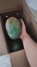 京鲜生攀枝花凯特芒净重8斤 单果400g＋ 新鲜水果 源头直发包邮 实拍图