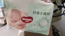 好奇（Huggies）小森林纸尿裤L40片(9-14kg)尿不湿心钻【低敏天花板】 实拍图