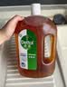滴露（Dettol）消毒液衣物除菌液洗衣消毒水1.8L*1 衣物混洗杀菌除螨 非84酒精 实拍图