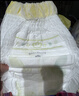 babycare易穿裤拉拉裤XL码36片(12-17kg)短裤式婴儿尿不湿柔软透气易穿脱 实拍图