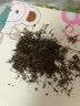 一杯香茶叶茉莉花茶飘雪横县浓香型特级250g2026新茶茉莉绿茶自己喝散装 实拍图