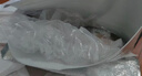 鲜活冲浪河鲈鱼400-500g/条 实拍图