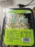 有机绿豆芽200g 实拍图