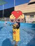 心楠儿童泳衣连体男童可爱速干泳衣女童游泳衣夏连体宝宝泳衣小童两岁 黄鸭连体泳衣【配泳帽】 90 码【身高90-100cm体重28-32斤】 实拍图