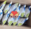 【原研药】[瑞代] 肠内营养乳剂(TPF-D)500ml/袋*20盒 实拍图