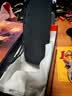 JBL FLIP ESSENTIAL2 旗舰款二代 蓝牙音响【焕新补贴】便携音箱  户外防水 低音炮 登山秋游 炫酷黑 实拍图