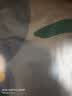 博洋家纺纯棉枕套印花全棉枕芯套枕头套对枕套花语一对装48*74cm 实拍图
