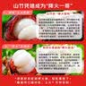 京鲜生【现货】泰国山竹中果 净重5斤礼盒 单果50g 源头直发 实拍图