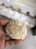 魏尔夫变蛋皮蛋河南特产无铅溏心皮蛋黄心皮松花蛋鸡蛋早餐零食20枚*50g 实拍图
