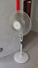 美的（Midea）【加大网罩】七叶轻音柔风电风扇/家用省电落地扇/小型台式电扇/广角摇头大风力宿舍风扇 SAE35CA1 实拍图