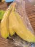 黄胖子进口香蕉650g 实拍图