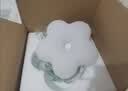 雷士（NVC）简约奶油风玄关灯书房卧室花型吸顶灯天花走廊灯24瓦 实拍图