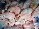 禧美海产头籽北极甜虾2斤/盒 120/150 头籽率参考50%  MSC认证 轻食 实拍图