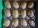 佳沛（zespri）新西兰 阳光金奇异果12粒特大果单果124-146g 猕猴桃水果礼盒 实拍图