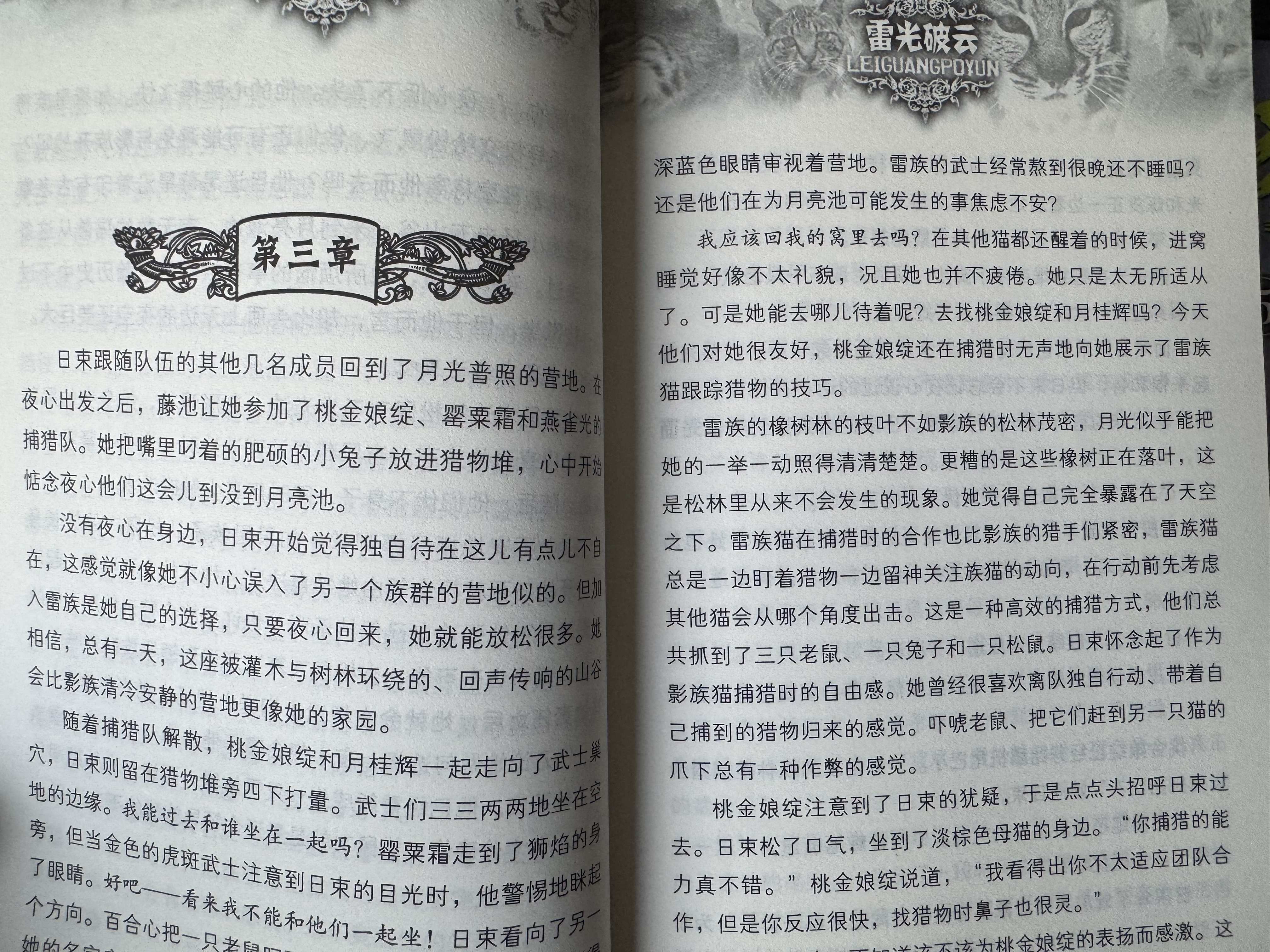猫武士八部曲文创限定礼盒  中国版首次官方周边发布  猫武士中国版首次官方周边发布 内含八部曲图书6册 立牌 斗图贴纸 族群日历 巴掌书 学徒手册 书签  新年开出隐藏款 暑期阅读 课外推荐 实拍图