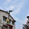 亚明led路灯头新农村路灯工厂户外防水220v市政挑臂电线杆道路照明灯 50W（单路灯头）LED白光 实拍图