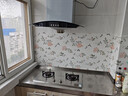 京东家政清洗 油烟机全拆洗+燃气灶清洗家电清洗上门服务清洁保养 实拍图