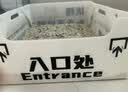 乐优派一次性猫砂盆特大号外出便携开放式防外溅临时猫厕所免清洗猫砂盆 实拍图