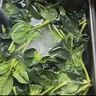 摩飞电器（Morphyrichards） 果蔬清洗机净化器洗菜消毒神器蔬菜净化器洗菜机水果清洗食材净化机农药残留清洗机 MR2061 椰奶白 实拍图