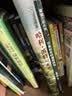 哈利波特与魔法石（全彩绘本 平装）课外阅读 阅读 童书  京东自营 人民文学出版社  黑色星期五 一升二衔接 小升初衔接  实拍图