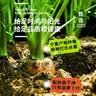 纯耕黑枸杞原浆礼盒1200ml 枸杞液汁花青素送长辈父母中秋节礼品物 实拍图