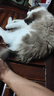 pidan猫粮 冻干猫粮10%鸡肉冻干款5kg 安心全价全期猫粮黑色星期五 实拍图