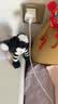 Apple/苹果 type-c转lightning闪电充电线-1米 手机数据线 旗舰店原装苹果iPhone 14 Pro Max快充线 实拍图