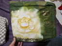 babycare金山茶花拉拉裤XXXXL26片(＞19kg)婴儿尿不湿超薄透气轻柔花苞裤 实拍图