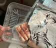 元牧希厚切羔羊肉卷净重1斤 火锅食材切肥牛羊卷涮锅羊肉片烧烤生鲜 实拍图