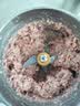小熊（Bear）绞肉机家用小型2026新款 绞馅机 碎肉机搅肉机 绞肉绞菜多功能一体机【2.5L球形钢杯】K03V4 实拍图