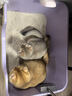 城市理享樱花白茶除臭颗粒瞬吸结团食用级木薯猫砂2.5kg*4不粘底不散团 实拍图