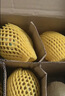 佳沛（zespri）绿奇异果 特大果6粒 单果约135-176g 水果礼盒 源头直发 实拍图