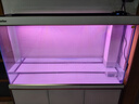 森森（SUNSUN）大型鱼缸底过滤水族箱客厅家用落地玻璃生态金鱼缸 【实时温显+灯控】珍珠白 1.2米长35cm宽 实拍图
