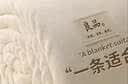 无印良品珊瑚法兰绒毛毯毛巾被子春秋毯沙发毯子办公室空调午睡毯四季可用 良品-复古棕【不掉毛 不起球】 120*200cm单人毛毯【四季可用】 实拍图