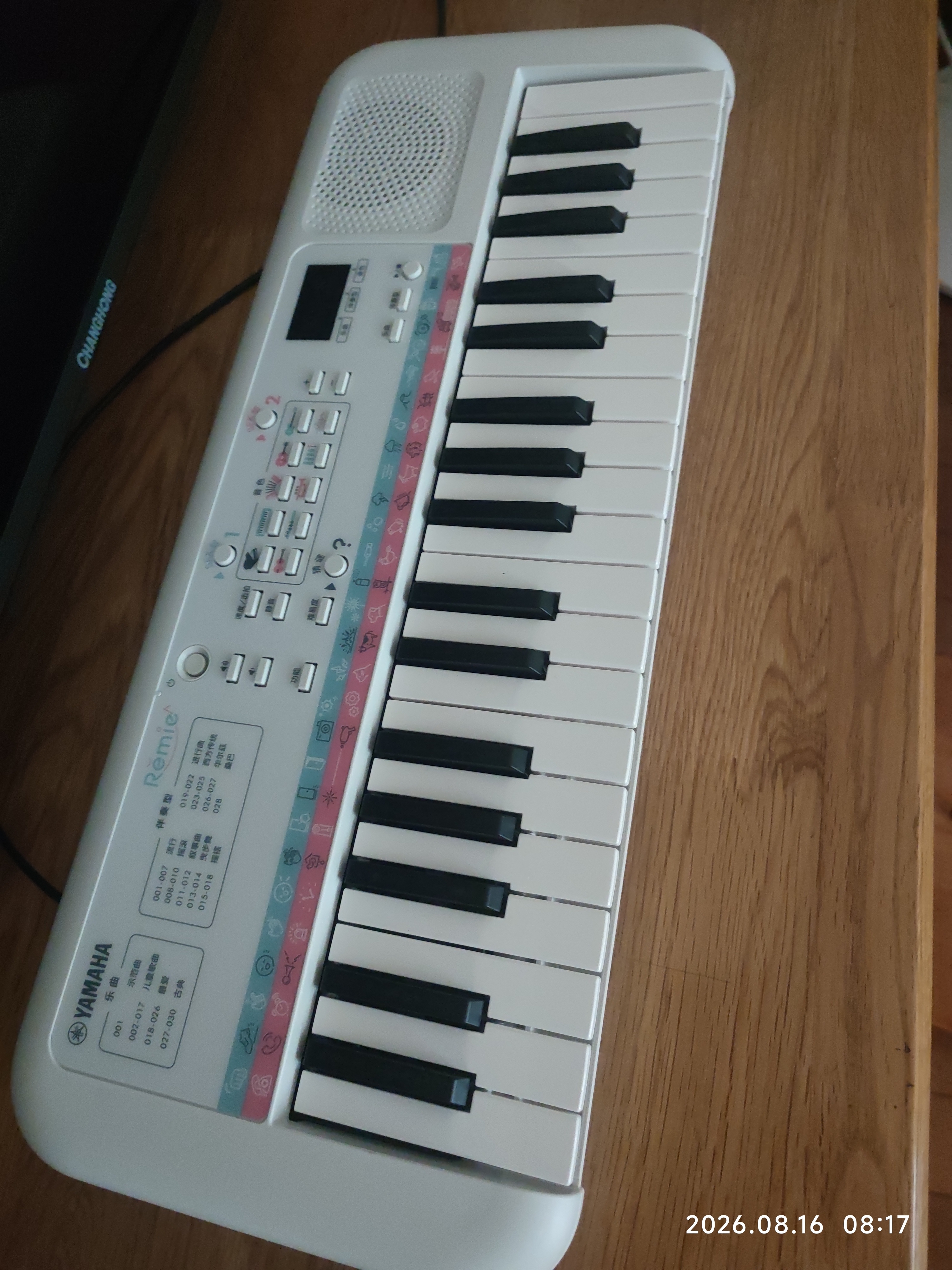 雅马哈（YAMAHA）PSS-E30 电子琴多功能初学者音感小白琴生日儿童节礼物标配+琴包 实拍图
