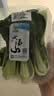 小汤山 有机小白菜 250g 基地直供新鲜蔬菜有机认证 实拍图