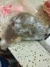 朵芙鲽鱼超大 免处理鲽鱼身比目鱼 鲽鱼段冷冻鸦片鱼海鱼鱼类 精选鲽鱼头 350g *4只 实拍图