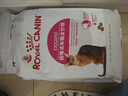 皇家猫粮 挑嘴成猫猫粮 高适口性 EF38 通用粮 12月以上 4KG 实拍图