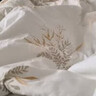 LOVO罗莱 夏凉被A类抗菌防螨夏被子纤维子空调被 2.4斤 200*230cm 实拍图