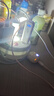 鸿蒙智选华为鸿蒙智选移动随身wifi mini随行无线网卡4g路由器 直插笔记本USB卡托WiFi6 实拍图
