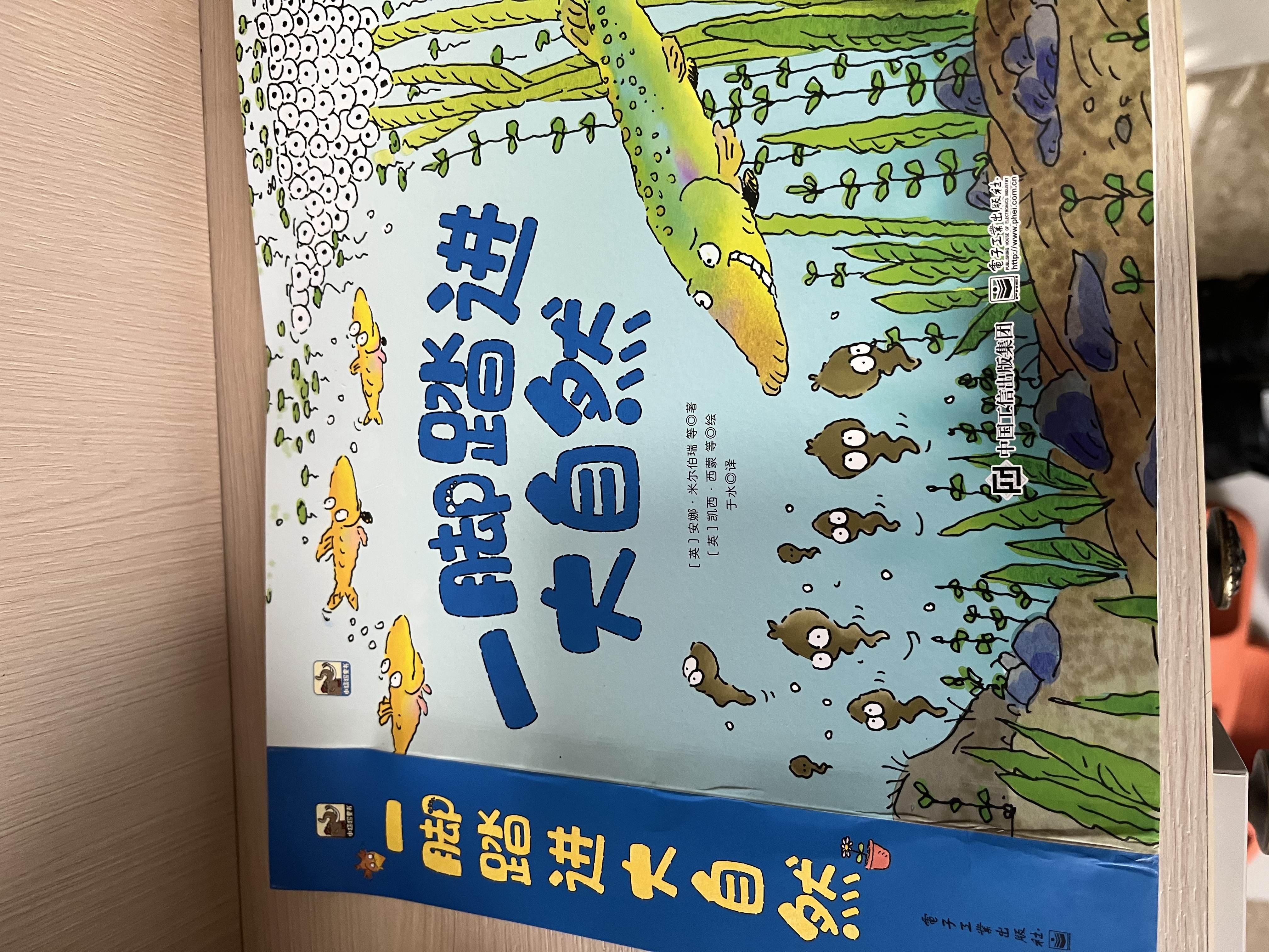 一脚踏进大自然3-6岁自然科普绘本小猛犸童书(平装15册)  实拍图