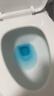 巨奇（JUQI）蓝泡泡洁厕灵马桶清洁剂抑菌去异味马桶清洁块持久洁厕宝250g3瓶 实拍图