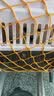 喵先生【新国航标准】宠物航空箱猫狗托运输猫咪狗狗外出箱便携手提笼子 1号【建议18斤内宠物】 实拍图