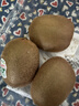 佳沛（zespri）绿奇异果优选果27-33个原箱装单果约103-135g水果 猕猴桃 实拍图