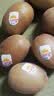 佳沛（zespri）新西兰阳光金奇异果10粒巨大果单果146-175g 猕猴桃水果礼盒 实拍图